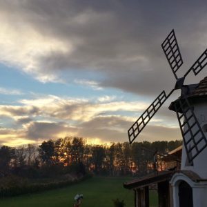 20131108_160409_RichtoneHDR