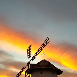 20131108_162527_RichtoneHDR