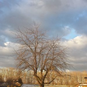 20131207_074855_RichtoneHDR