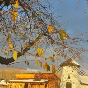 20131207_074934_RichtoneHDR