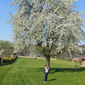 20140403_090052_RichtoneHDR