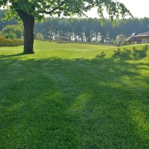 20140421_173923_RichtoneHDR