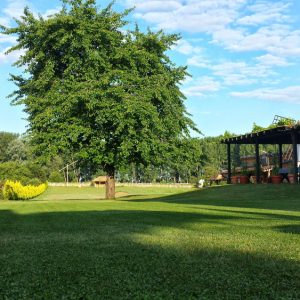 20140622_063507_RichtoneHDR