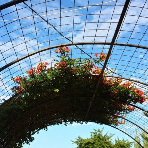 20140622_063816_RichtoneHDR